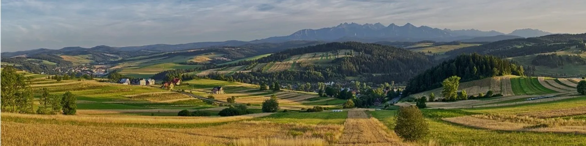 Rural landscape