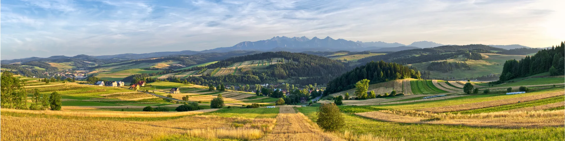 Rural landscape